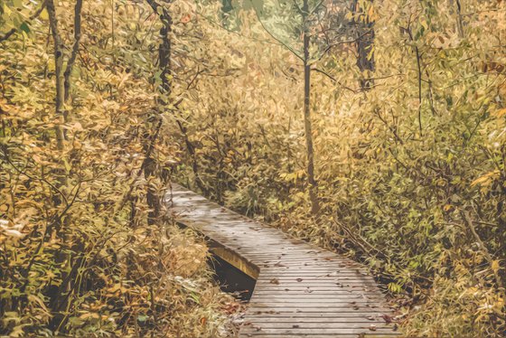Boardwalk in the Fall