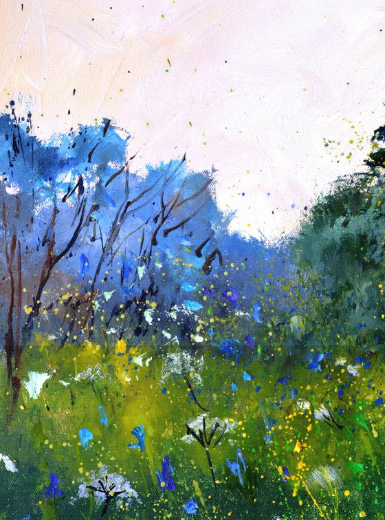 White and blue Wild flowers