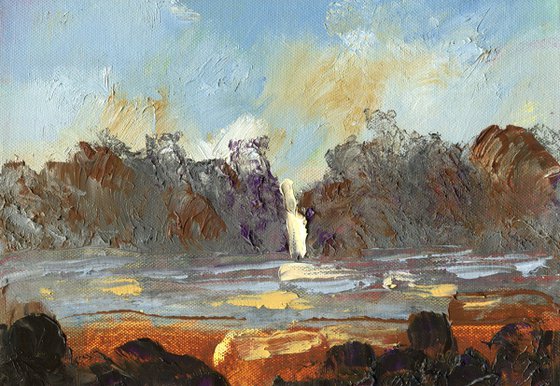 Moorland Marsh Collection x 4