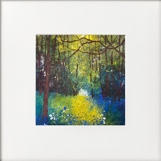 Seasons - Spring Bluebells Abundant framed