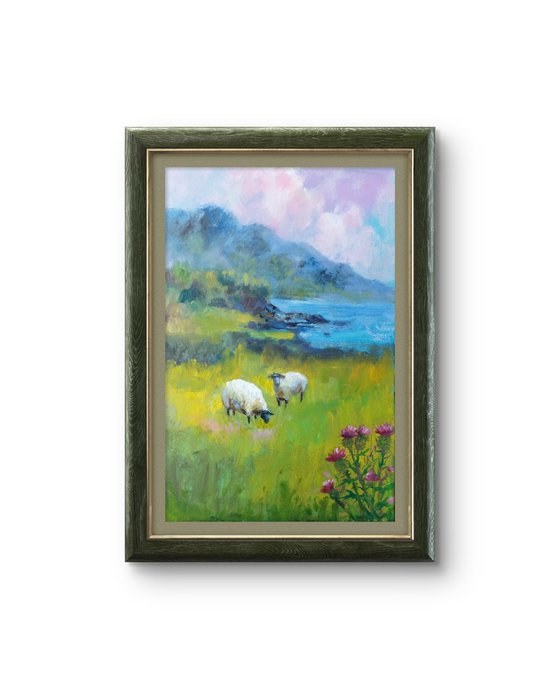 Scottish landscape, sheep on pasture