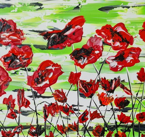 Red Poppies by Daniel Urbaník