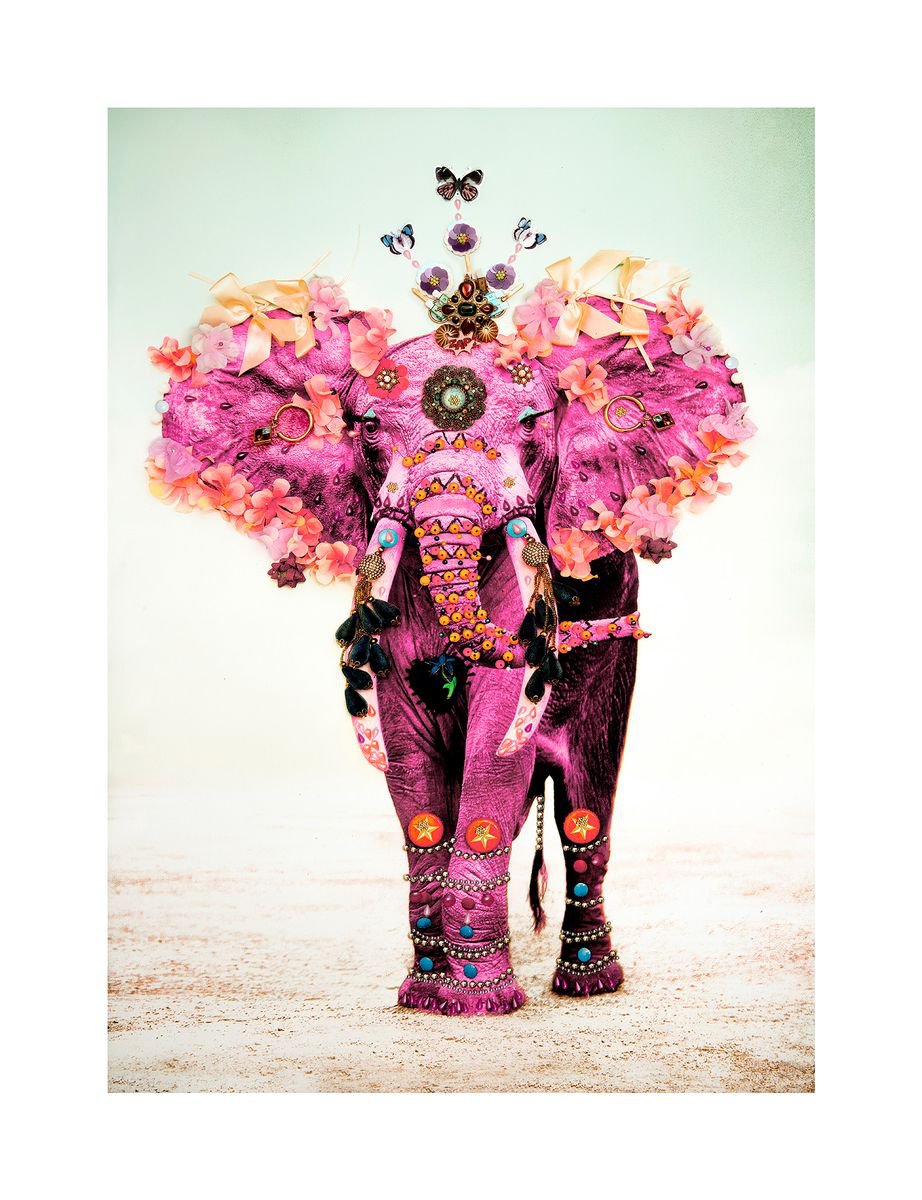 Urban And Pop Animal Photograph By B-Brown & Scheinmann, 34 X 44, Pink Elephant (Large Edition Size), Original Artwork