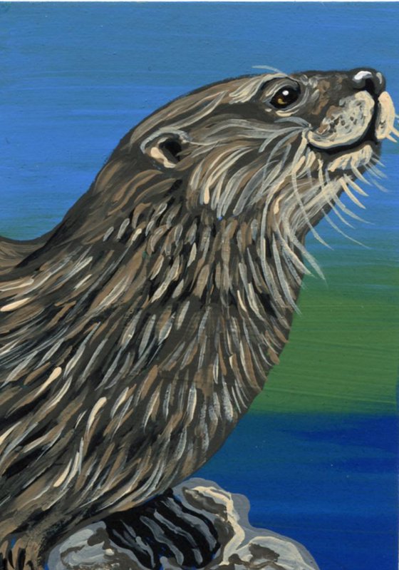 ACEO ATC Original Miniature Painting Otter Wildlife Art-Carla Smale