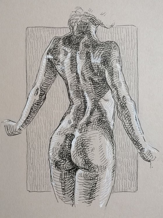 Nude art. Pen and ink drawing