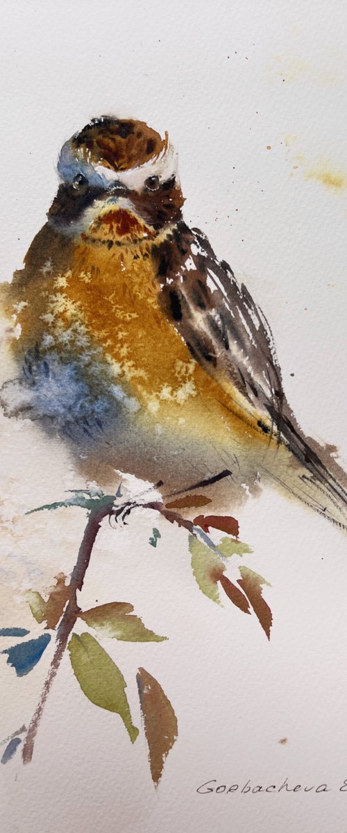 Meadow bird by Eugenia Gorbacheva