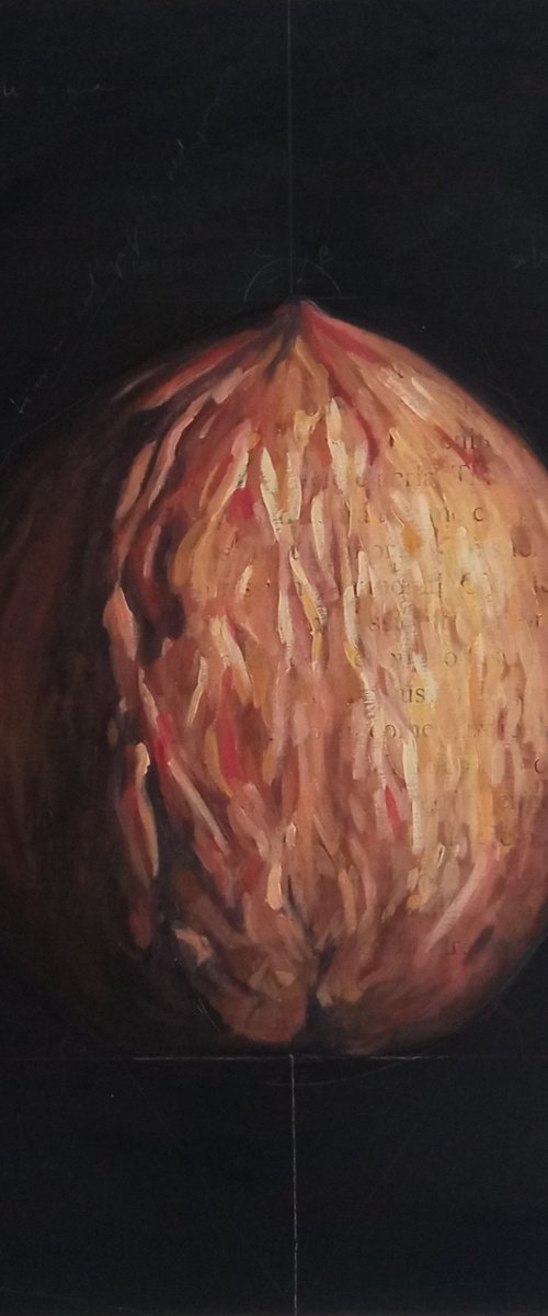 Nut by Ida Harm
