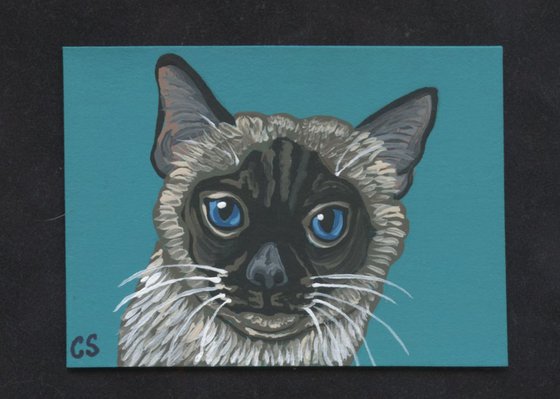 ACEO ATC Original Painting Siamese Pet Cat Art-Carla Smale