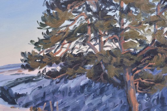 Twilight over the Mézenc