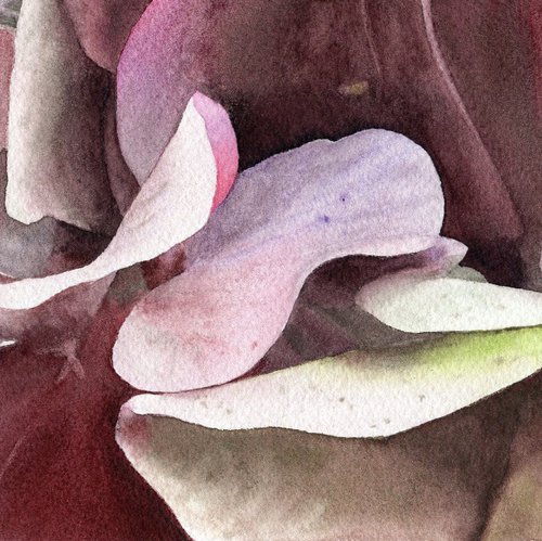 Rhapsody in Petal and Hue by Alona Hryn