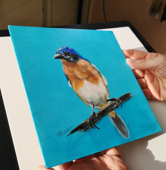 Bluebird - Original Acrylic Painting