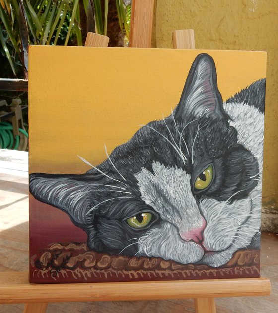 Tuxedo Black White Pet Cat Original Art Painting-8 x 8 Inches Deep Set Stretched Canvas-Carla Smale