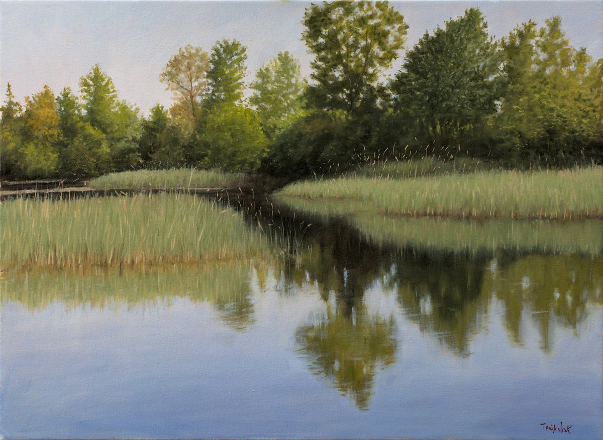 Impressionistic Landscape Oil Painting By Dejan Trajkovic, 30 X 22, Bulrush Swamp, Original Artwork