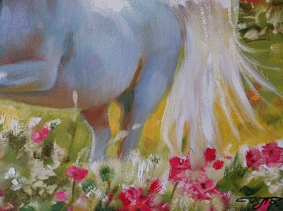 A White Horse Gallops