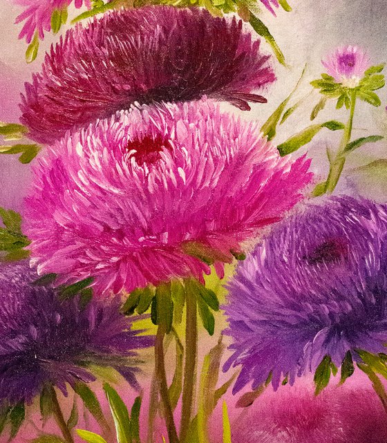 Purple and pink Flowers. aster flowers.