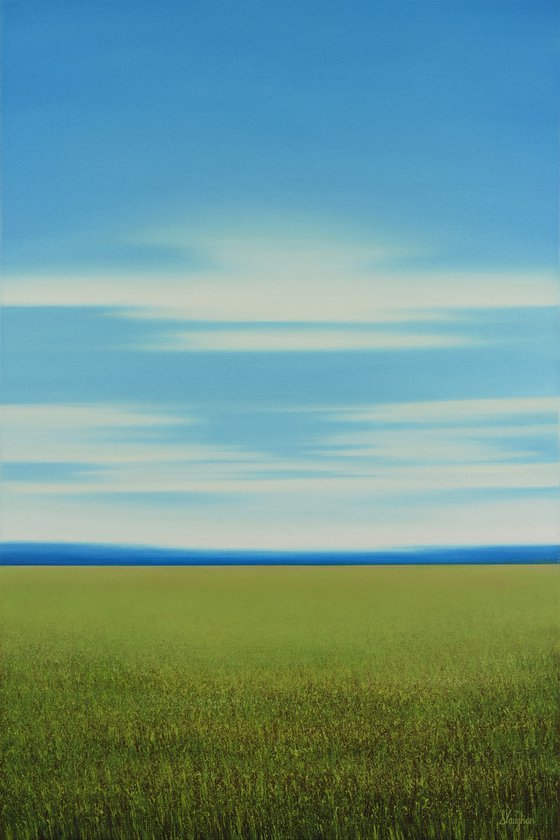 Field and Sky - Blue Sky Landscape