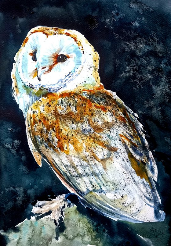 Barn owl at night