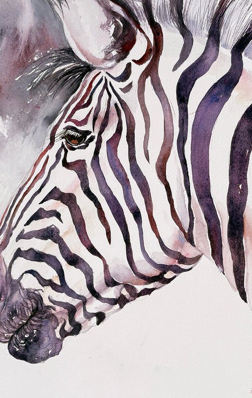 Zodiac_Zebra by Arti Chauhan
