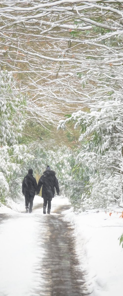 A walk in the Snow by Martin  Fry