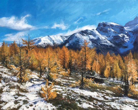 Larch Valley