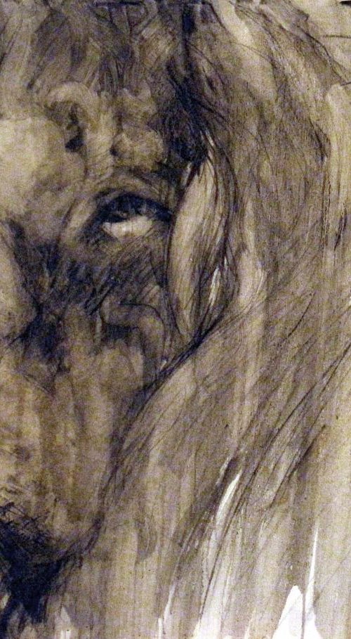 Lion of Age by David Kofton