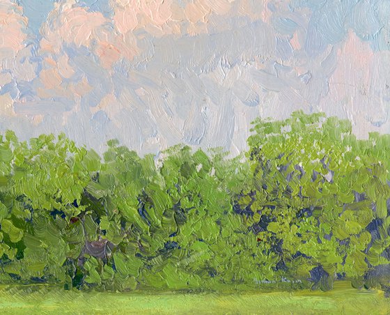 Clouds. Botanical Garden