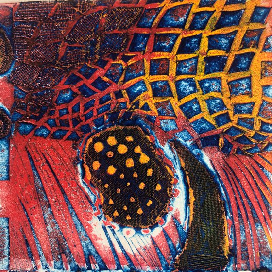 Patterns From The Reef