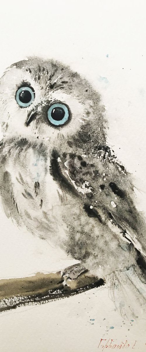 Little owl on a branch - 19 x 28 cm by Eugenia Gorbacheva