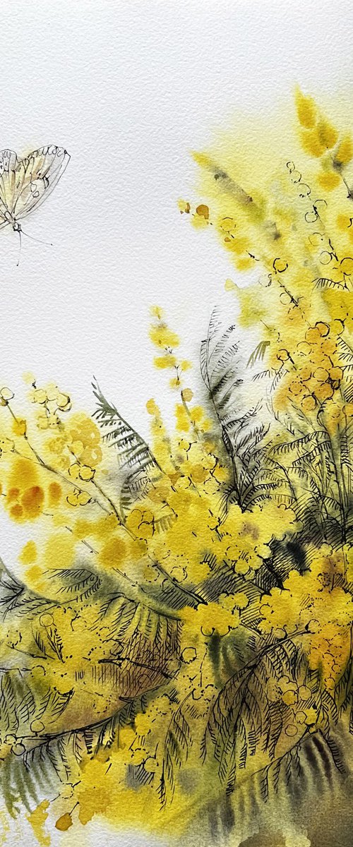 Mimosa branches by Natalia Veyner