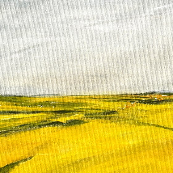 Summer Fields