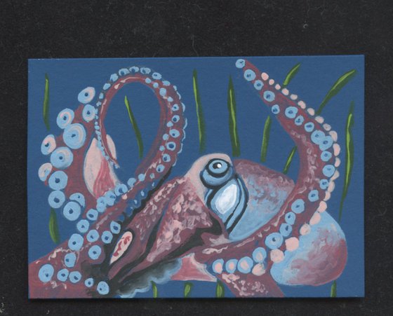 ACEO ATC Original Painting Octopus Marine Wildlife Art-Carla Smale