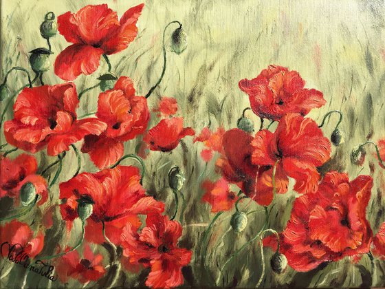 Free poppies