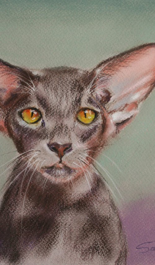 Portrait of Cat II /  ORIGINAL PAINTING by Salana Art Gallery