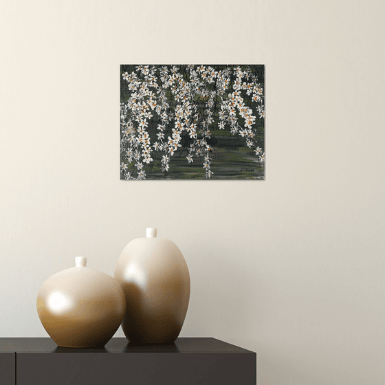 White Cherries 1