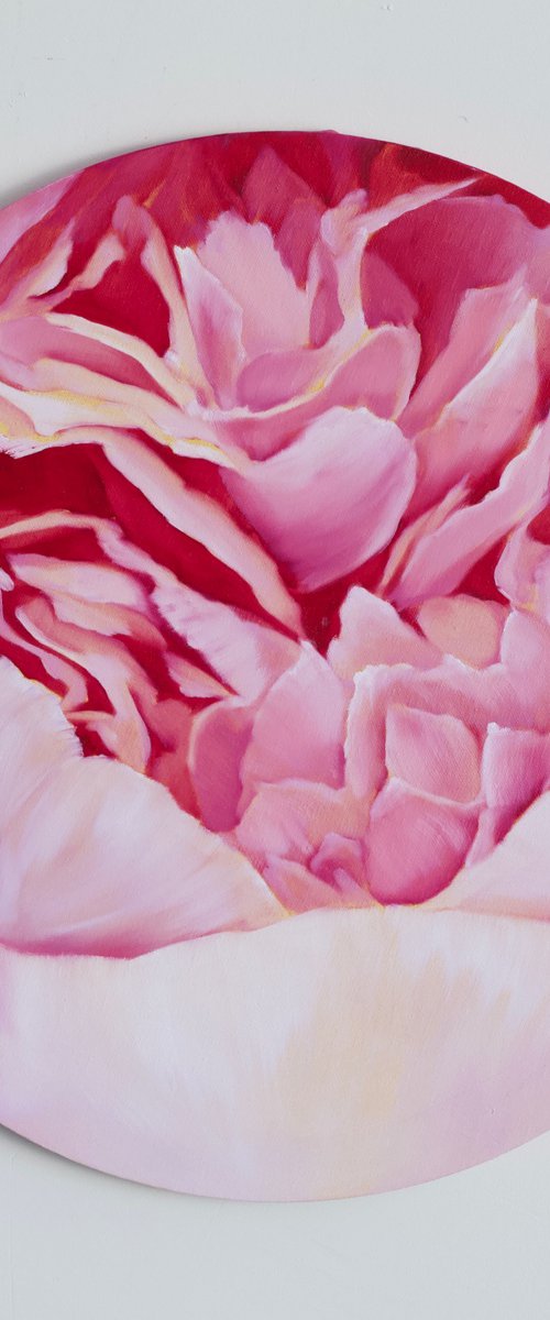 Pink Peony by Ilze  Ērgle - Vanaga