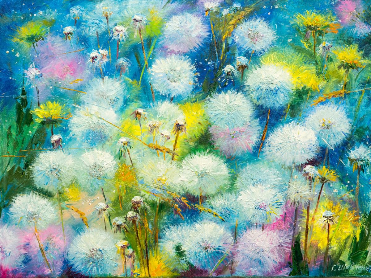 Impressionistic Botanical Oil Painting By Galyna Shevchencko, 16 X 12, Blowballs Field, Original Artwork