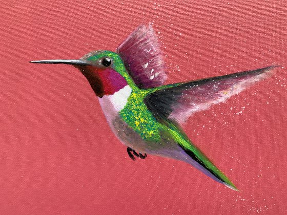 Anna's Hummingbird