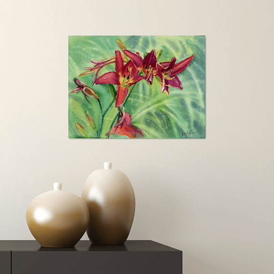 Red daylily in the garden