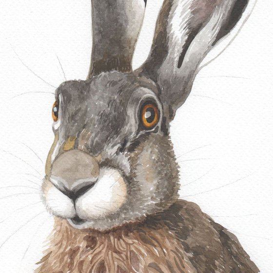Hare 20x30 cm