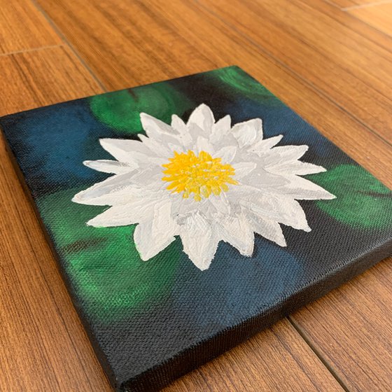 White water lily ! Small Impasto Painting!!  Ready to hang