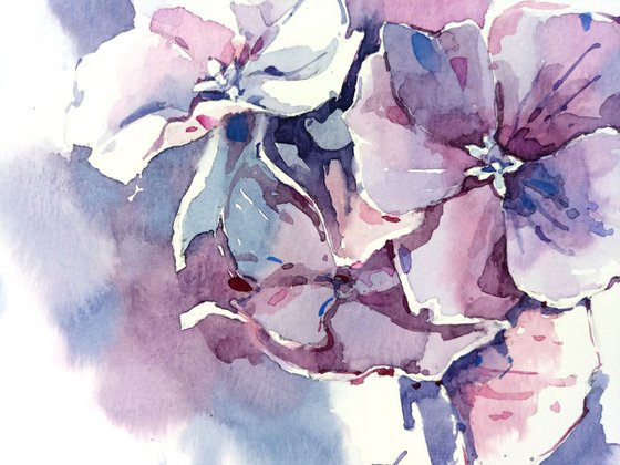 "Twilight hydrangea" Original watercolor sketch