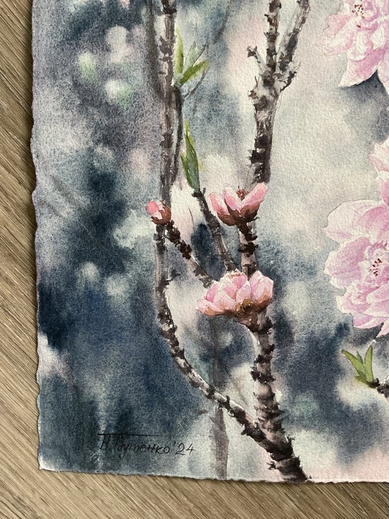 Sacura is  blossoming , pink flowers