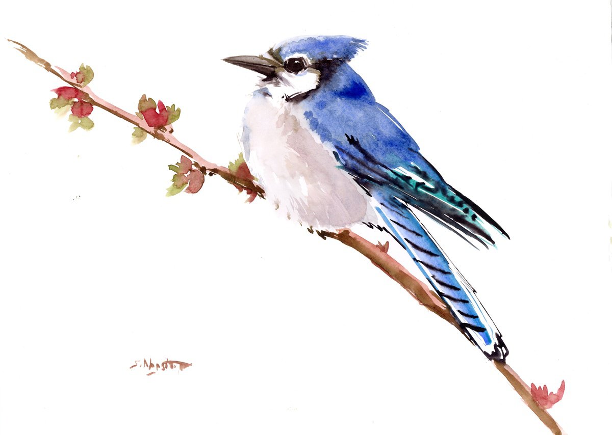 Blue Jay on a Branch by Suren Nersisyan