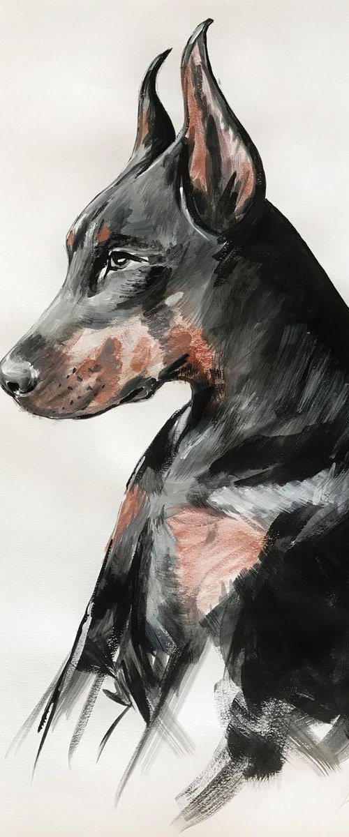 Doberman, pet portrait by Leysan Khasanova