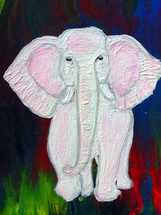 Baby pink elephant