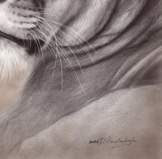 Majestic Queen