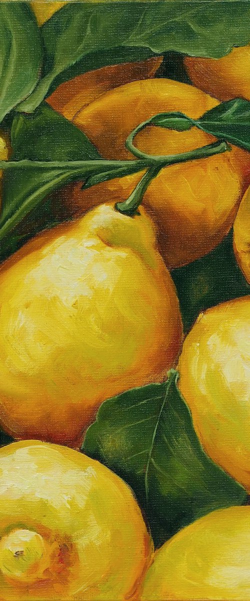 Lemon season by Alfia Koral