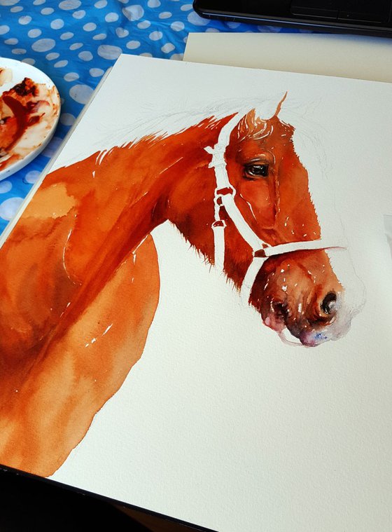 Horse in Red