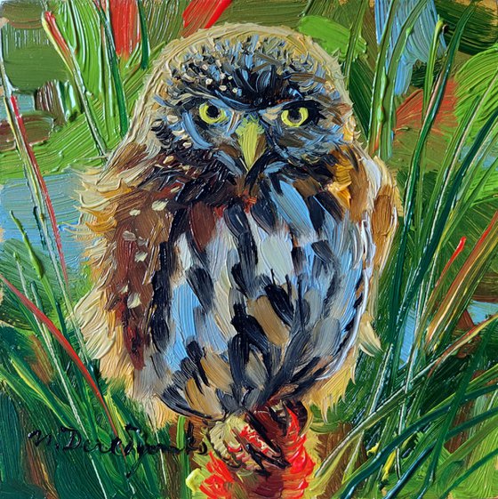 Owl bird oil painting original in frame, gift for a best friend