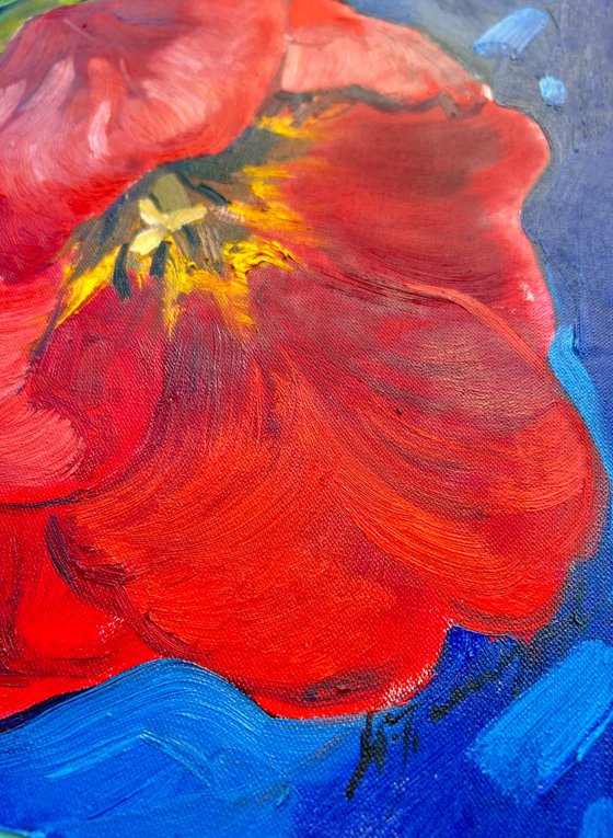 Red tulip